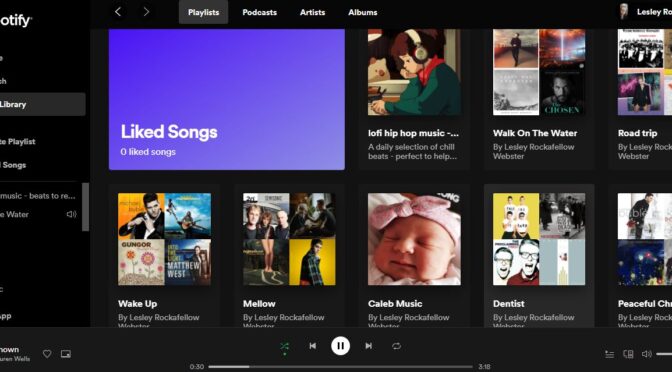 My Spotify Playlists